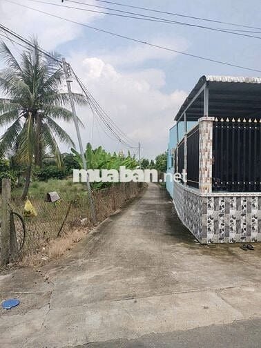 BÁN ĐẤT THỔ CƯ – PHƯỚC HẬU, CẦN GIUỘC, LONG AN - 207M2  - GIÁ 2.5 TỶ.