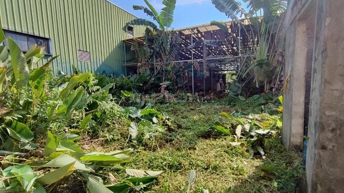 Bán đất 275m2 tại Xã An Khánh - TP Hà Nội, đường ô tô tránh