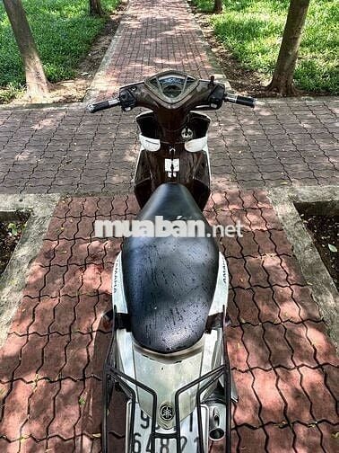 luvias biển tỉnh
