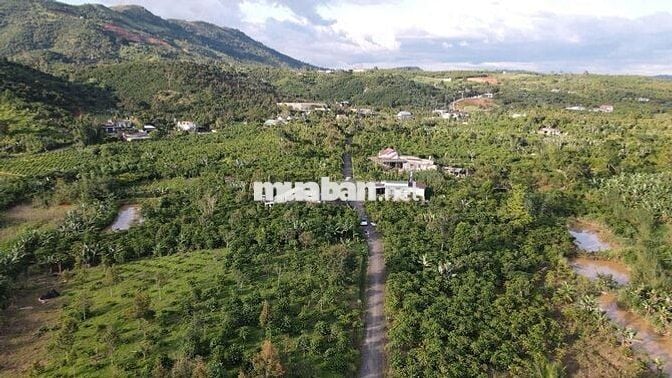 CẦN BÁN ĐẤT LỘC ĐỨC, TP. Bảo Lộc – Lâm Đồng