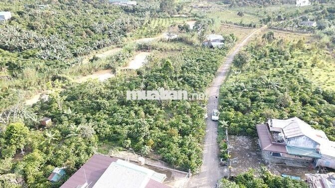CẦN BÁN ĐẤT LỘC ĐỨC, TP. Bảo Lộc – Lâm Đồng