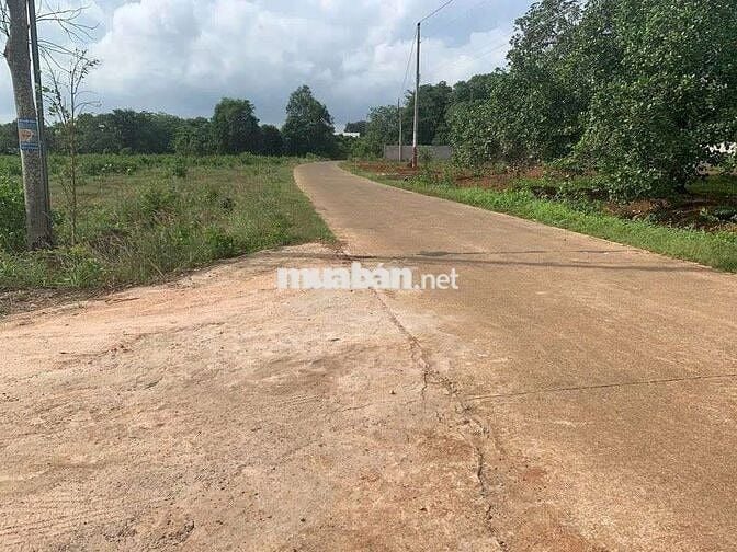 Vị trí đắc địa:
Cách Sân bay Quốc tế Long Thành