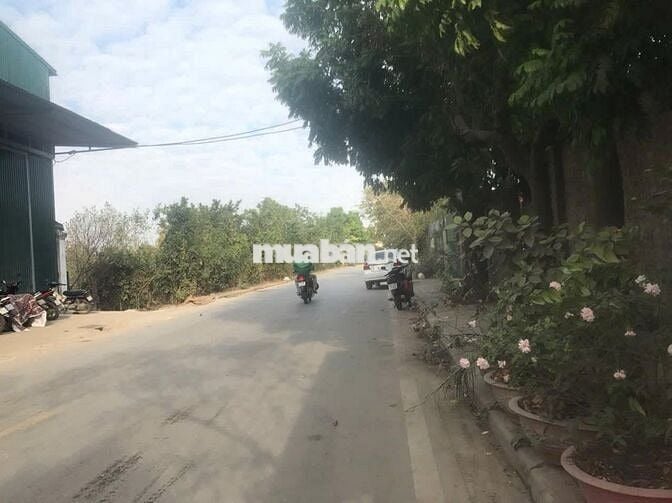 BÁN KHO XƯỞNG TẠI XÃ HỒNG VÂN - THƯỜNG TÍN - GIÁ CHỈ 13 TRIỆU/M2