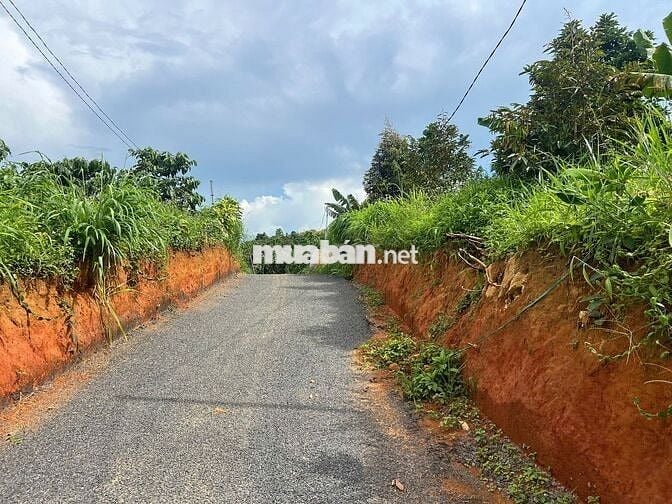 🌳 CẦN BÁN ĐẤT LỘC ĐỨC – BẢO LỘC, LÂM ĐỒNG 🌳