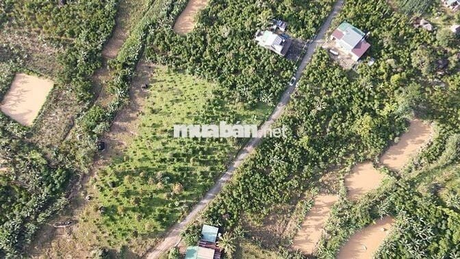 CẦN BÁN ĐẤT LỘC ĐỨC, TP. Bảo Lộc – Lâm Đồng