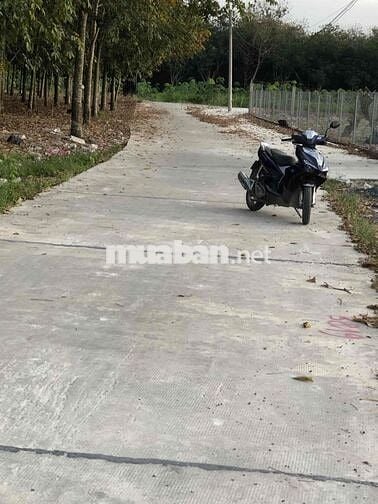 Cần bán lô đất gần 800m2 ở Minh Hưng chơn thành