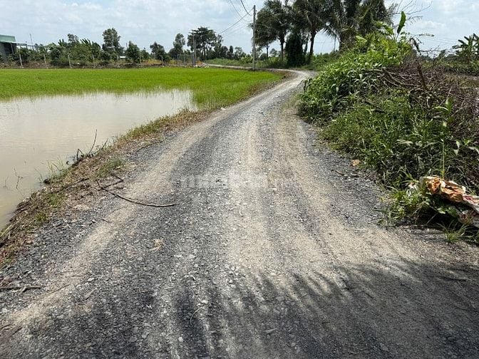 BÁN Đất Ấp 5 Tân Trạch, Cần Đước - Long An NAY xã Mỹ Lệ, Tây Ninh 