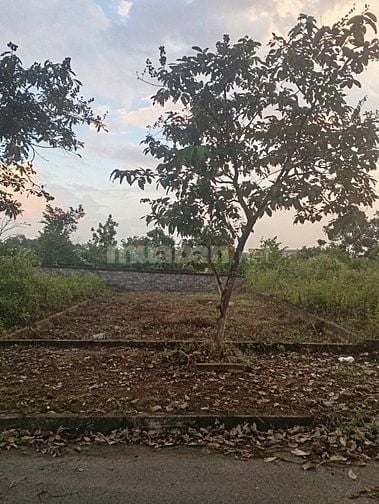 🏡 BÁN LÔ ĐẤT TÁI ĐỊNH CƯ VAI RÉO – VỊ TRÍ ĐẸP, GIÁ TỐT