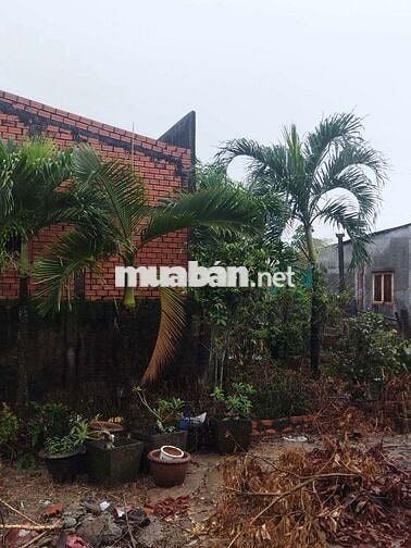 Chính chủ cần bán đất thổ cư có nhà cấp bốn