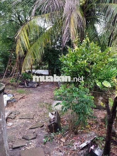 Chính chủ cần bán đất thổ cư có nhà cấp bốn