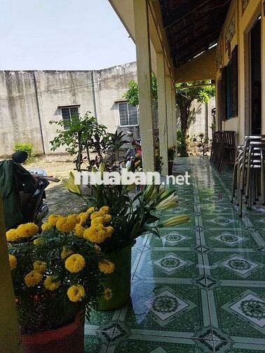 Chính chủ cần bán đất thổ cư có nhà cấp bốn