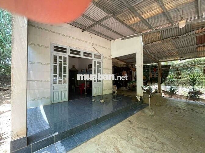 1.4HA - 300M2 THỔ CƯ - CÓ NHÀ, KHO, VÀ VƯỜN TRÀM !