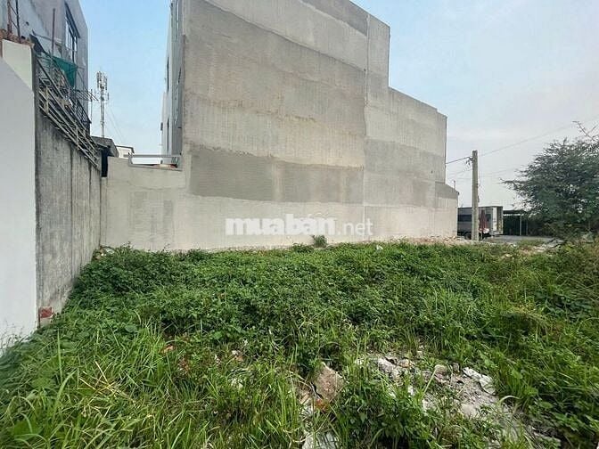 Chính chủ cần bán đất ở Tân Kim, Huyện Cần Giuộc 112,4m2/590tr