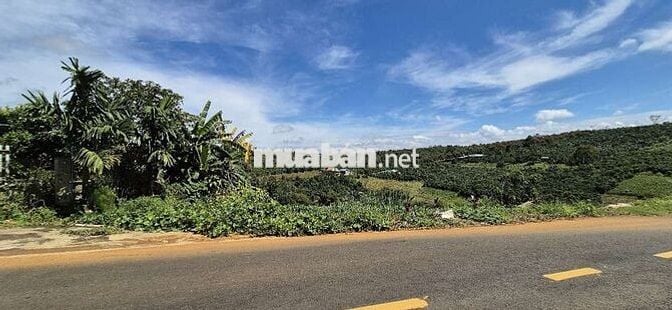 Bán đất mặt tiền hơn 2000m2 giá ngộp tại Bảo Lộc