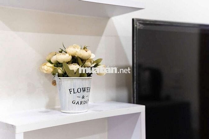 STUDIO - FULL NỘI THẤT - THANG MÁY - GẦN PHAN XÍCH LONG