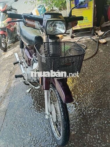 Xe Dream ngon giá rẻ
