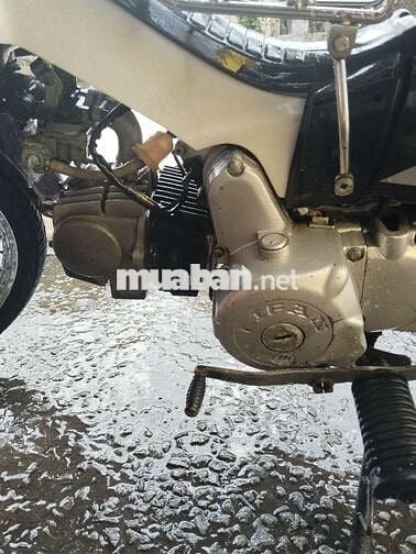 Xe Dream ngon giá rẻ