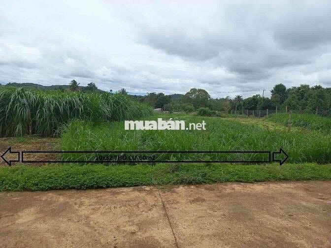 CC CẦN BÁN LỖ LÔ ĐẤT SAU LƯNG UỶ BAN EAKAO