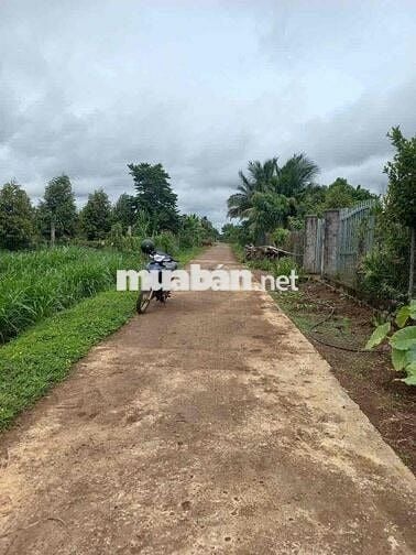 CC CẦN BÁN LỖ LÔ ĐẤT SAU LƯNG UỶ BAN EAKAO
