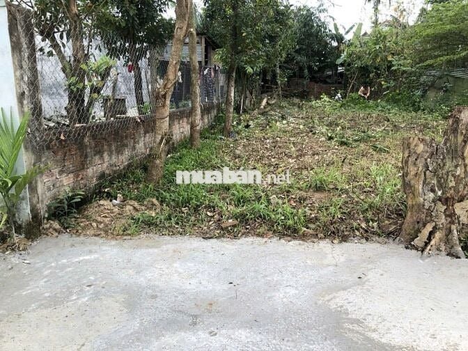 💥SIÊU RẺ - LÔ ĐẤT HÒA PHONG CHỈ 1,55 TỶ - 207 M² - CHÍNH CHỦ BÁN‼️