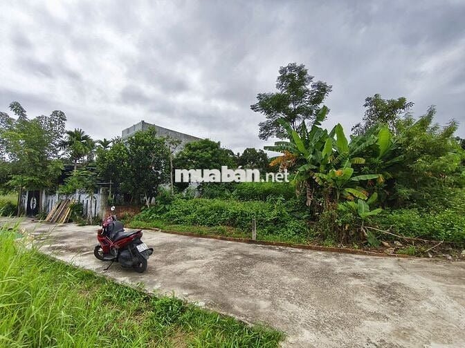 💥SIÊU RẺ - LÔ ĐẤT HÒA PHONG CHỈ 1,55 TỶ - 207 M² - CHÍNH CHỦ BÁN‼️