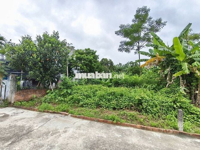 💥SIÊU RẺ - LÔ ĐẤT HÒA PHONG CHỈ 1,55 TỶ - 207 M² - CHÍNH CHỦ BÁN‼️