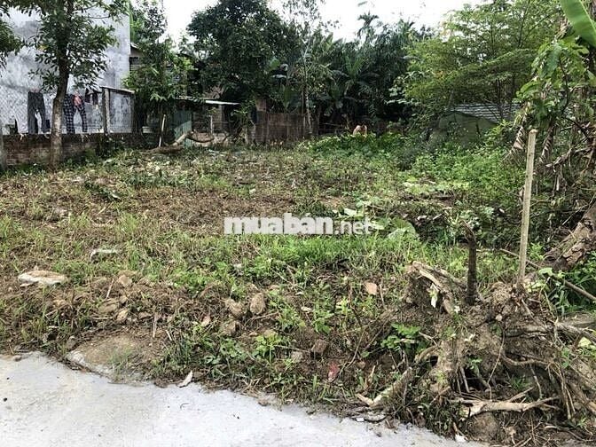 💥SIÊU RẺ - LÔ ĐẤT HÒA PHONG CHỈ 1,55 TỶ - 207 M² - CHÍNH CHỦ BÁN‼️