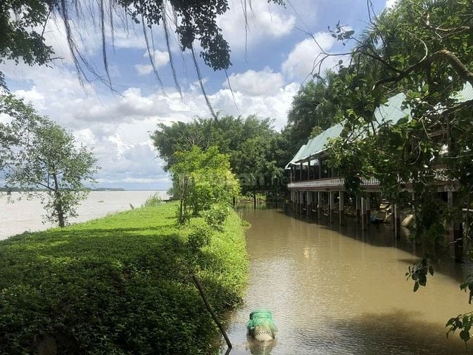 Chính Chủ bán gấp khu du lịch sinh thái vườn Hàm Luông, Bến Tre