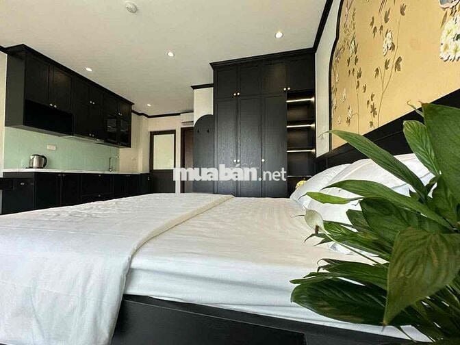 Chung cư mini diện tích 30m2, thiết kế dạng studio tại Xuân Đỉnh