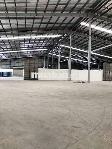 Cho thuê kho xưởng 8.500m2, KCN Tân Đô,Tân Đức,Hải Sơn,Đức Hòa,Long An