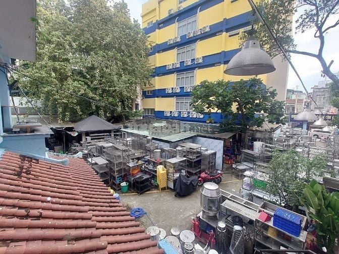 Cho thuê Biệt thự SV MT Nguyễn Trọng Tuyển, P.1,Tân Bình_DT: 1.225m² 
