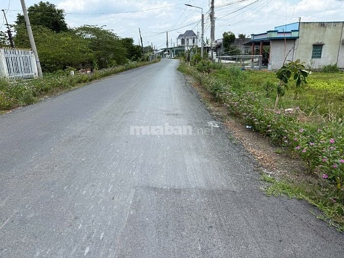 Bán Đất MẶT TIỀN Huyện Cần Đước, Long An  (cũ) NAY xã Mỹ Lệ,Tây Ninh