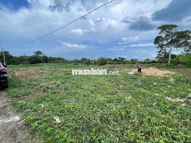 🏡 ĐẤT 5.523 m² – ĐẤT CẨM ĐƯỜNG