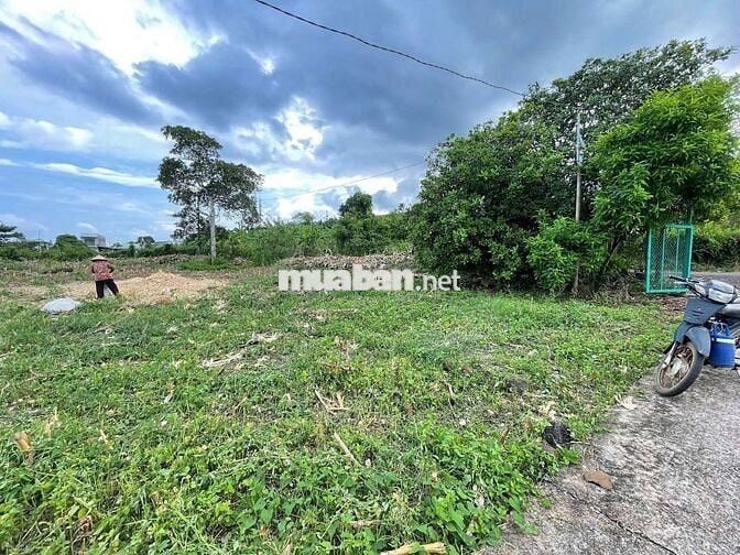 🏡 ĐẤT 5.523 m² – ĐẤT CẨM ĐƯỜNG