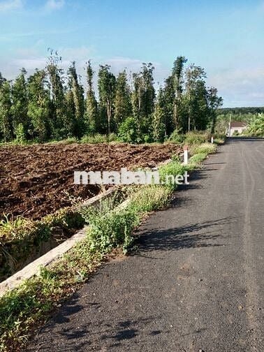 🍀🍀Bán lô đất đẹp,Mt nhựa Xã bàu chinh_huyện châu đức -brvt