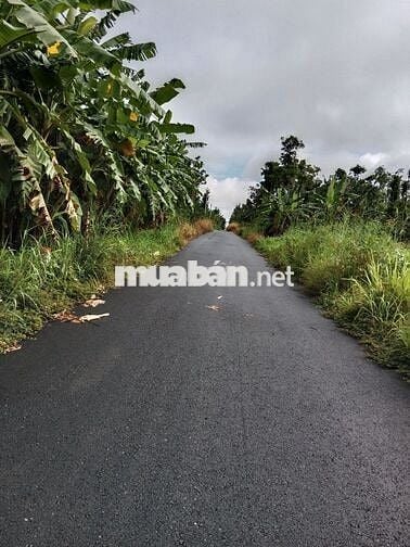 🍀🍀Bán lô đất đẹp,Mt nhựa Xã bàu chinh_huyện châu đức -brvt