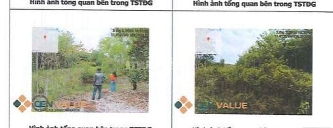 BÁN ĐẤU GIÁ TÀI SẢN VIB TẠI TÂN LẬP, ĐỒNG PHÚ, BÌNH PHƯỚC CỦ
