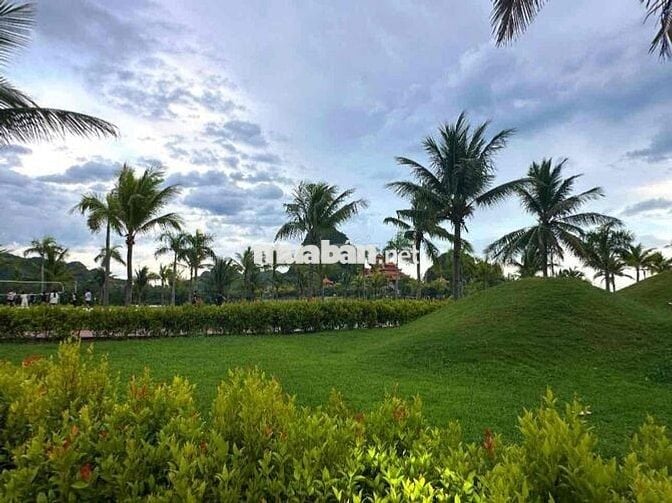 Nắm Chính chủ Lô đầm sen Gần công Viên !!
