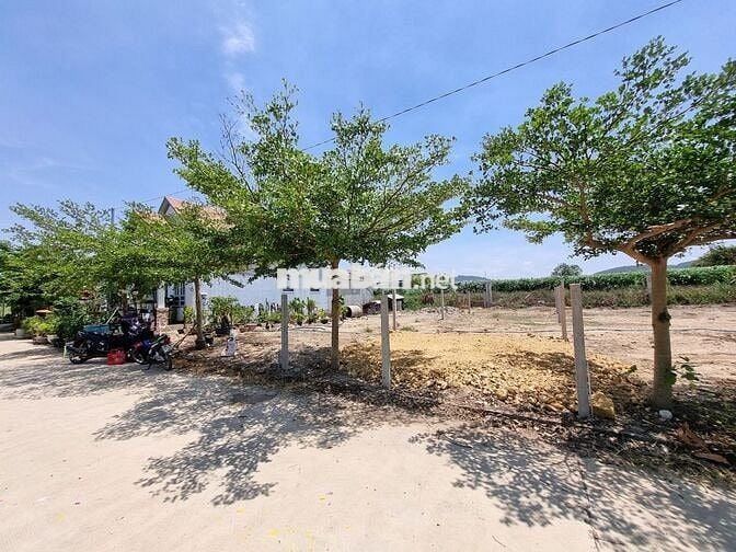 Cơ Hội Không Thể Bỏ Lỡ Xây Dựng Giấc Mơ: Lô Đất Vàng Liền Kề Tiện Ích