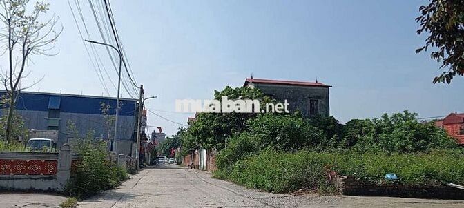 Xịn, Bán đất nguyên khê giá trị tăng phi mã