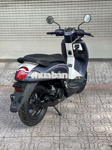 Scoopy 2025 - New 100%