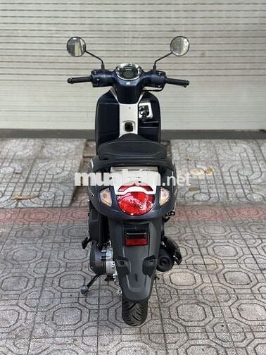 Scoopy 2025 - New 100%