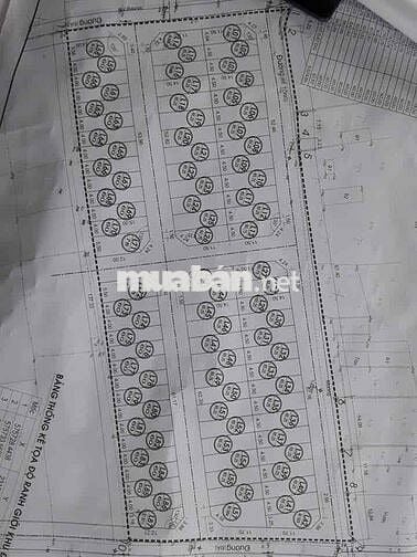 Vỡ nợ cần bán gấp lô đất 75 m mặt tiền 6,25 đường và vỉa hè 12 m sổ đỏ