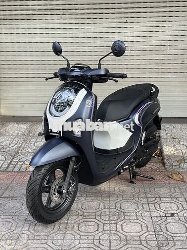 Scoopy 2025 - New 100%