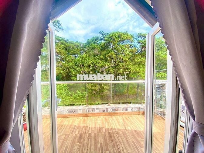 Cho thuê căn hộ view siêu đẹp dành cho 2-4 ng hoặc gia đình nhỏ.