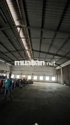 cho thuê kho xưởng 1300m2 đường dương thị giang, q12, pccc, đường cont