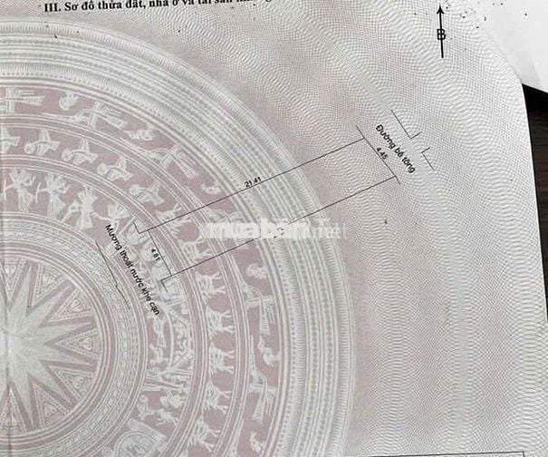 ĐẤT 2 MẶT KIỆT – SONG SONG TÔN ĐẢN, GIÁ RẺ NHẤT KHU VỰC