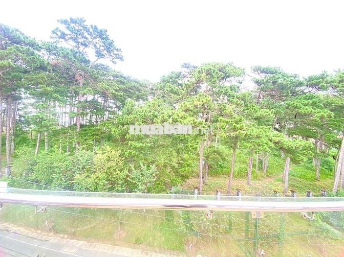 Cho thuê căn hộ view siêu đẹp dành cho 2-4 ng hoặc gia đình nhỏ.