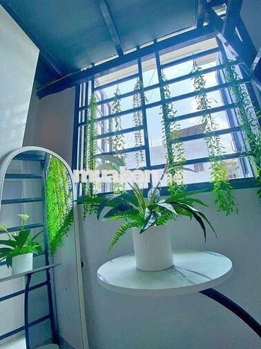 ✨ PHÒNG ĐẸP DUPLEX - CÓ BAN CÔNG, CỬA SỔ CỰC THOÁNG