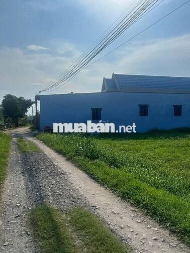 HÀNG HIẾM ĐẤT THỔ CƯ MT LÊ THỊ SẮT TÂN PHÚ TRUNG